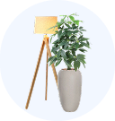 الديكور والإضاءة